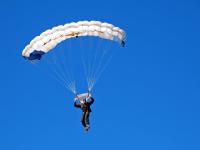 IM电竞官网首页-霍勒迪在焦点战证明自己，热火收割太阳