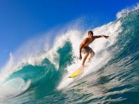 IM电竞注册-烈焰与钢铁的史诗，阿隆索点燃赛场，法拉利鏖战雷诺的永恒对决