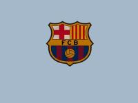 IM竞技-骑士轻取辽宁队，东契奇刷新纪录，篮球世界的奇妙交汇