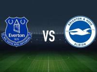 IM电竞官网入口-埃弗顿憾负布莱顿，难以逆转比分